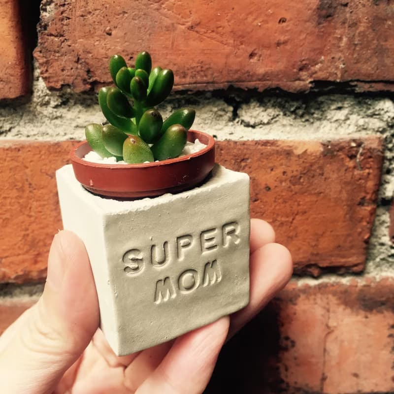 SUPER MOM~!!超人媽媽~!!母親節多肉磁鐵盆栽