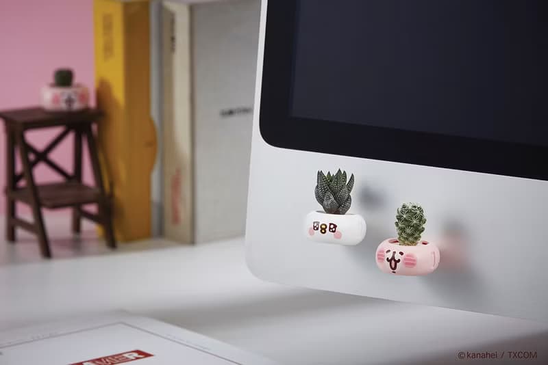 卡娜赫拉的小動物迷你磁鐵盆栽 / 療癒多肉植物/迷你盆栽