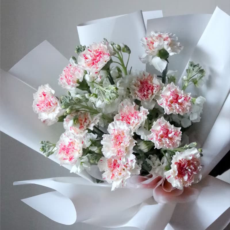 【鮮花進口康乃馨花束】母親節。開幕。生日。畢業季 I 可自取