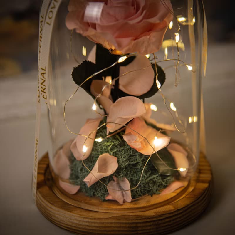 【唯一】美女與野獸 粉色永生花紅玫瑰 玻璃罩 夜燈 /情人節 生日