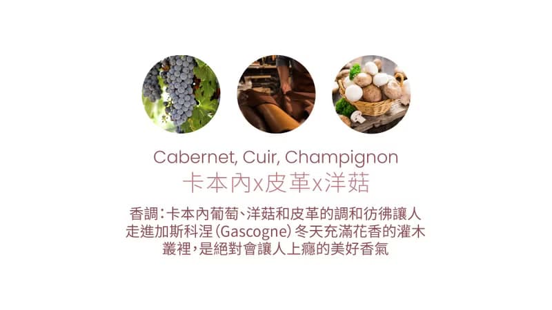 法國Cirerie de Gascogne天然香氛蠟燭 – 卡本內x皮革x洋菇