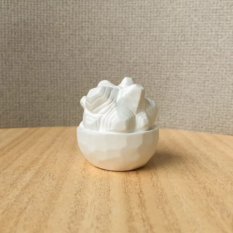 象牙宮與龜甲龍 潮流塊根植物 手工擴香石雙寶組