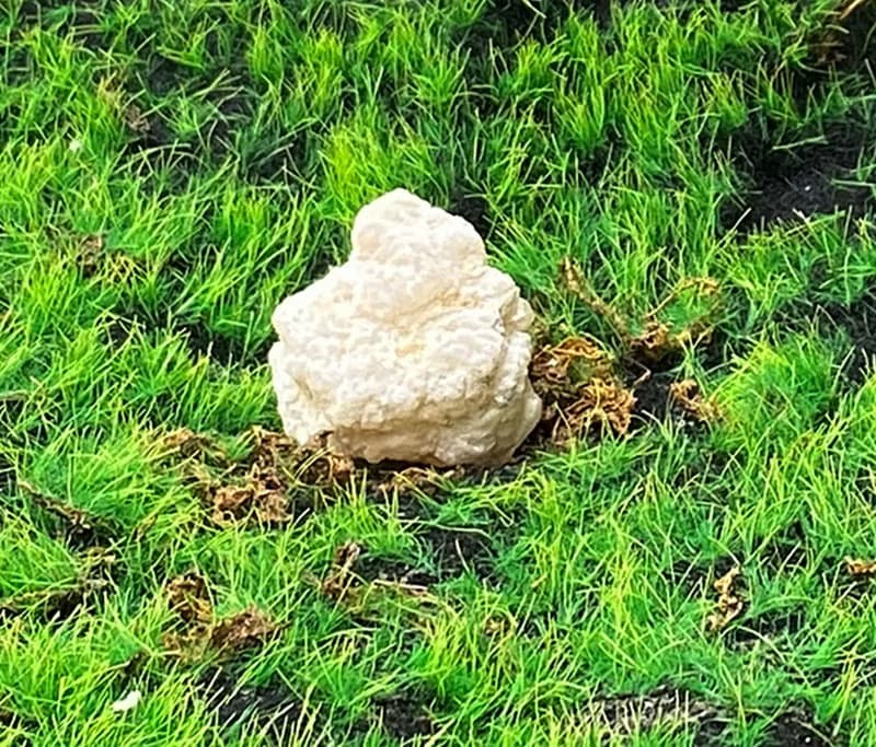 能量擺飾-瑪瑙可愛白晶洞開口笑 招財 療癒 開運 原礦 快速出貨