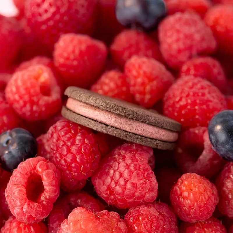 野莓醇厚可可(全素)