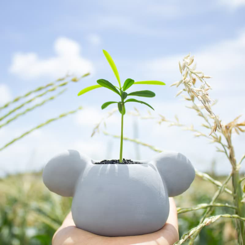 無尾熊Koala水泥盆器 夏日時光的療癒系盆栽