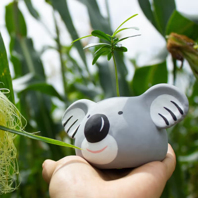 無尾熊Koala水泥盆器 夏日時光的療癒系盆栽