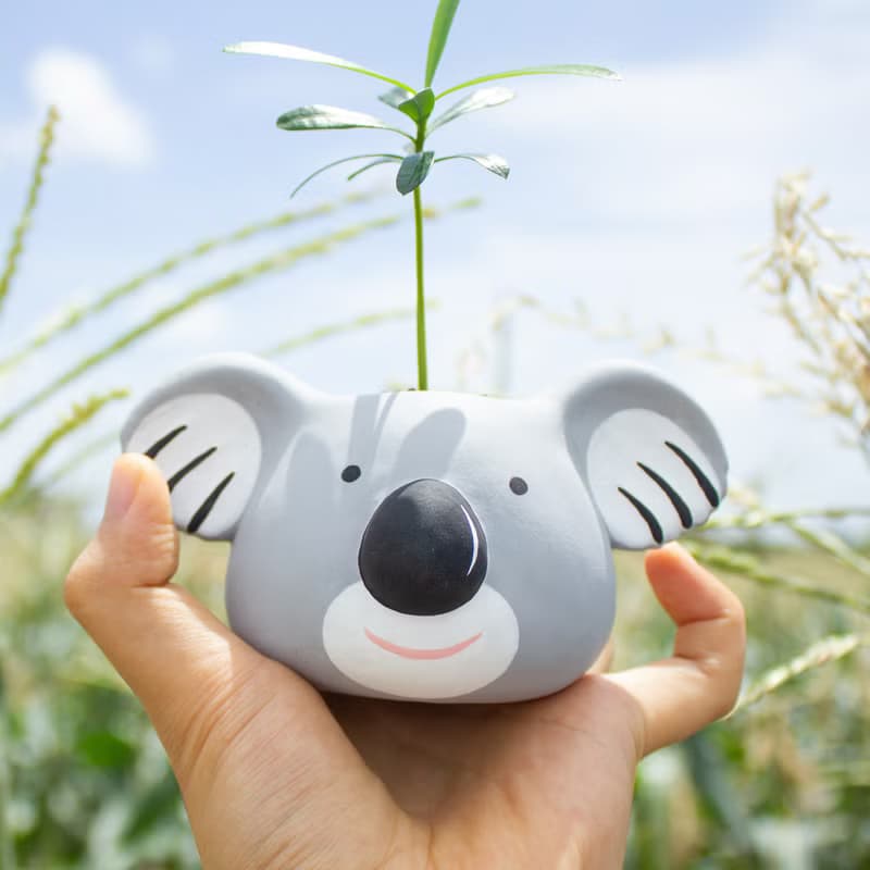 無尾熊Koala水泥盆器 夏日時光的療癒系盆栽