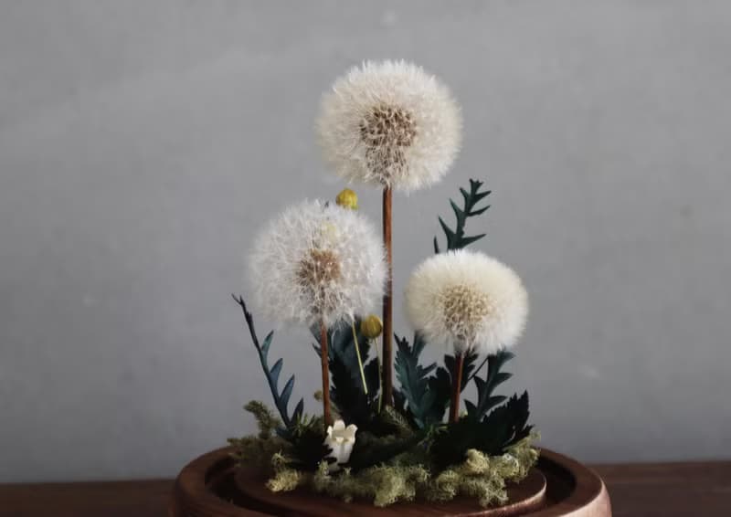 夢天涯 蒲公英永生花 玻璃花器(帶燈款)