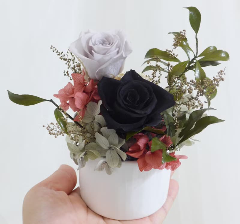 情人節禮物花束工業風黑玫瑰永生盆花 開幕結婚捧花永生乾燥花畢
