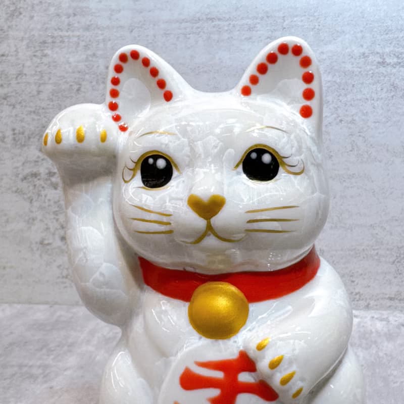 【福白映金】日本清水燒招財貓 | 花結晶 白 - 千万両 右