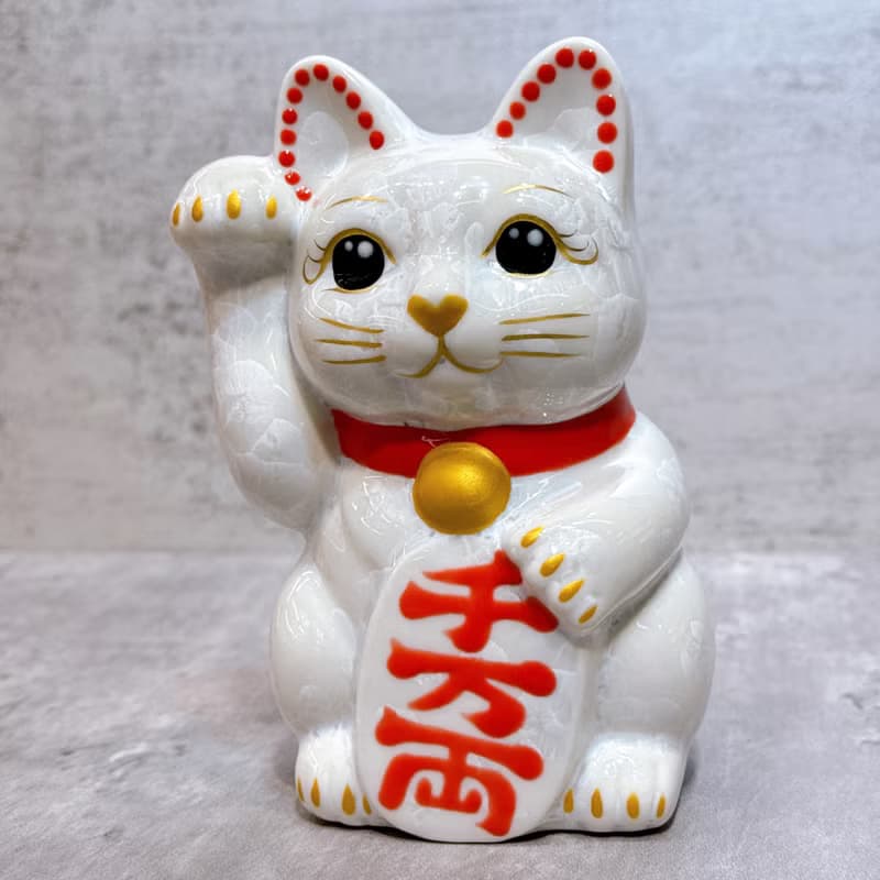 【福白映金】日本清水燒招財貓 | 花結晶 白 - 千万両 右