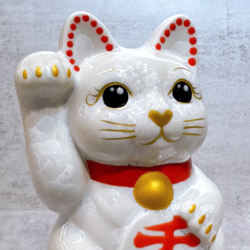 【福白映金】日本清水燒招財貓 | 花結晶 白 - 千万両 右