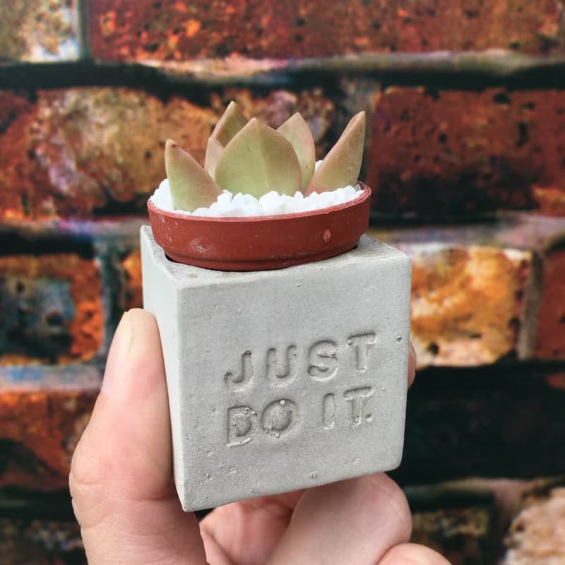 Just do it。做就對了。多肉磁鐵盆栽