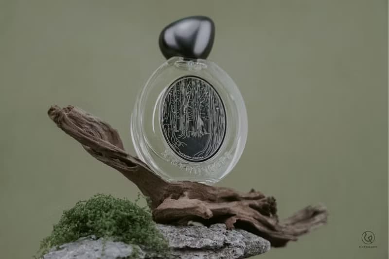 Paperbark Corridor 白千香水 | 綠意樺木 | 香港Grand Tour |EDP