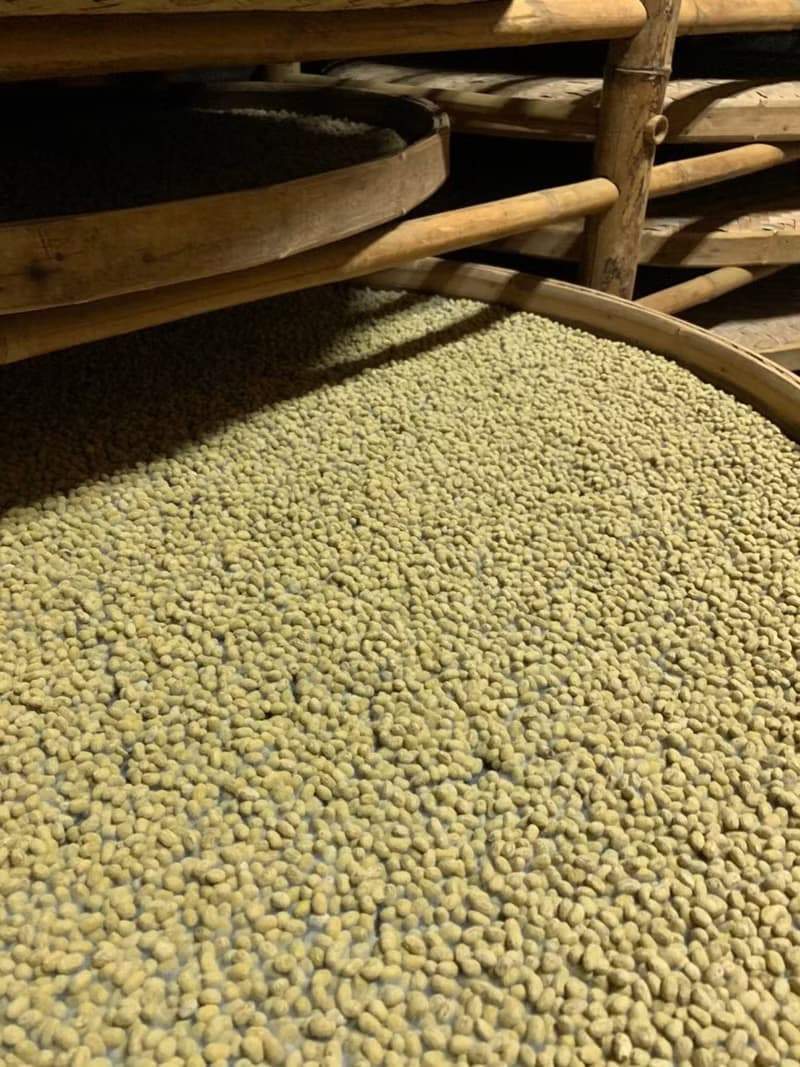 【暮釀】手工純釀造黃豆壺底油 伴手禮 素食  |100%零添加