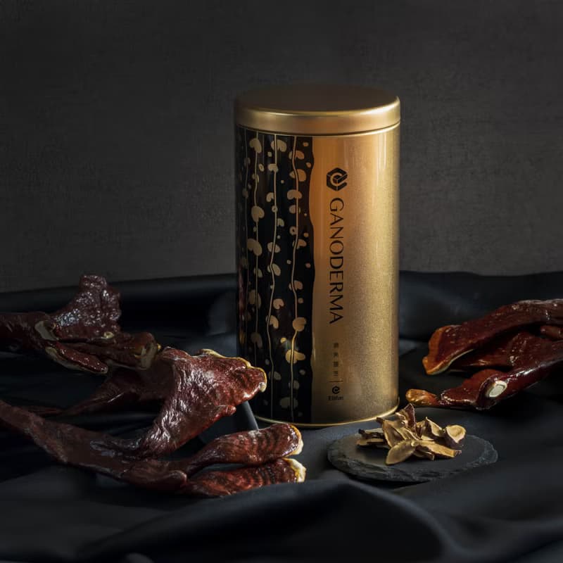 【金典茗茶】頂級鹿角靈芝・漢方養生茶飲│精裝茶罐禮盒・伴手禮
