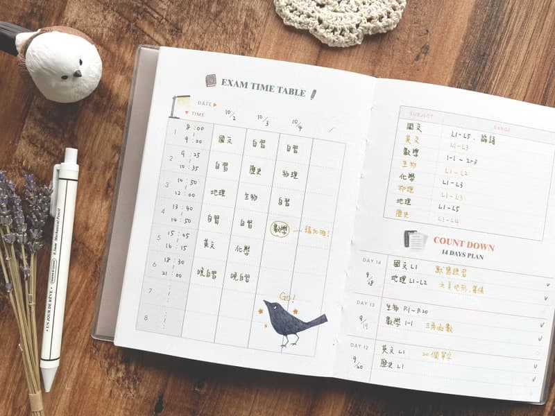 迪夢奇 Happy Study Planner 快樂學習日誌v.7 烏鴉