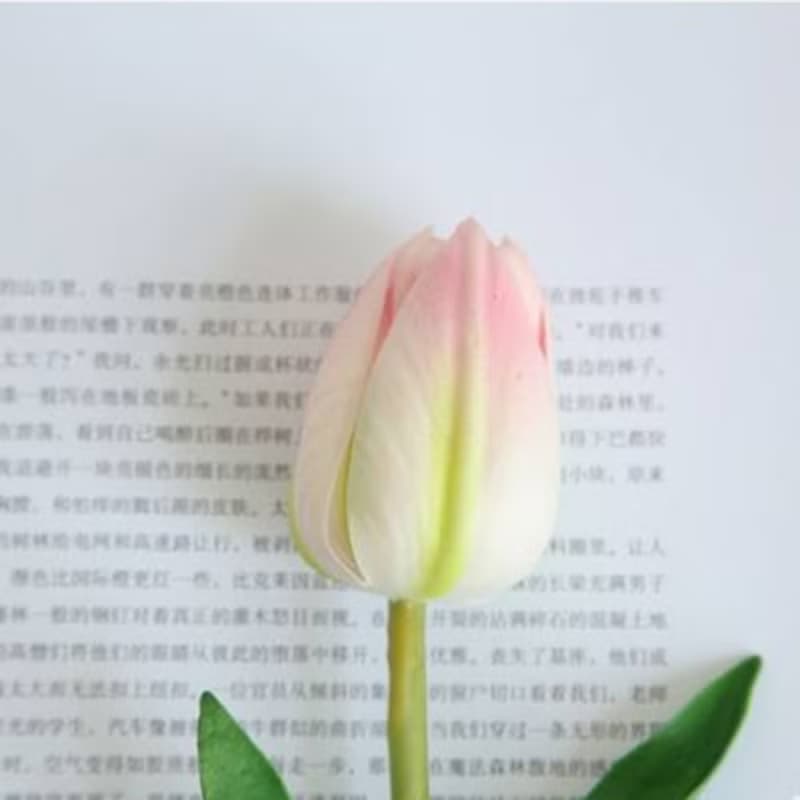 氣球花束(大朵鬱金香)/畢業禮/情人節禮物/生日禮/母親節/1111