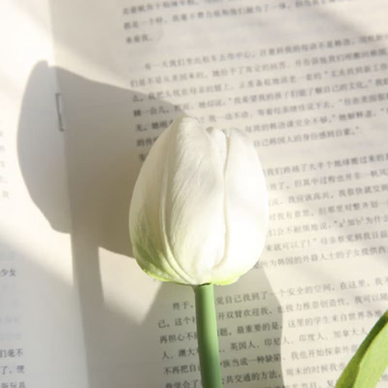 氣球花束(大朵鬱金香)/畢業禮/情人節禮物/生日禮/母親節/1111