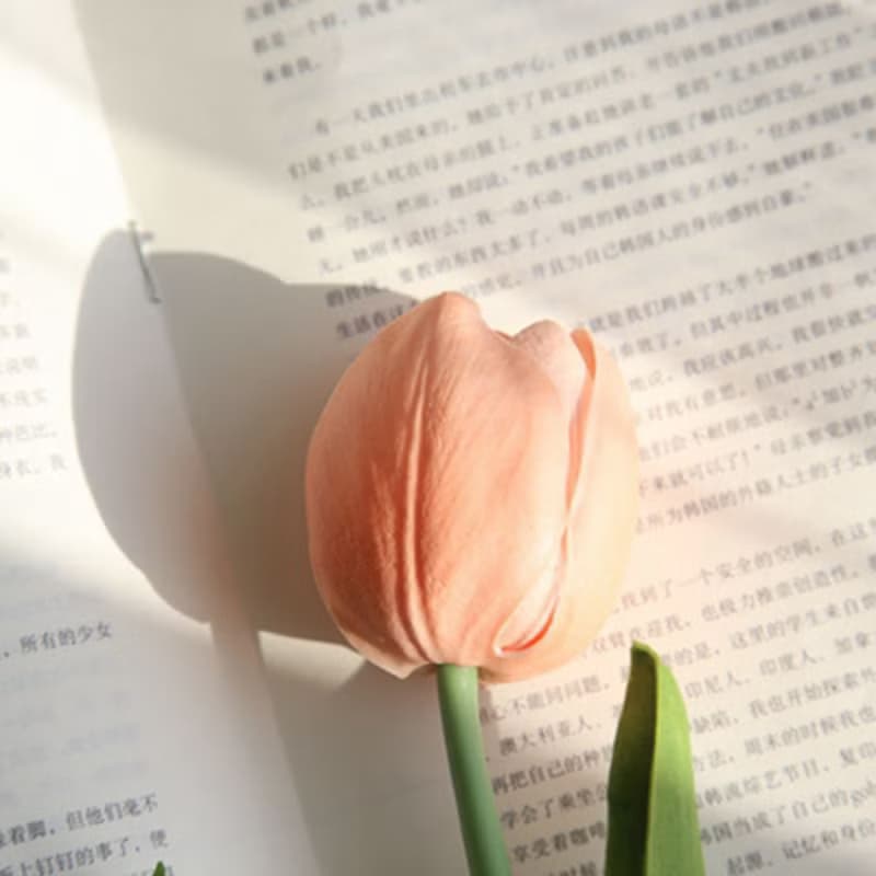 氣球花束(大朵鬱金香)/畢業禮/情人節禮物/生日禮/母親節/1111