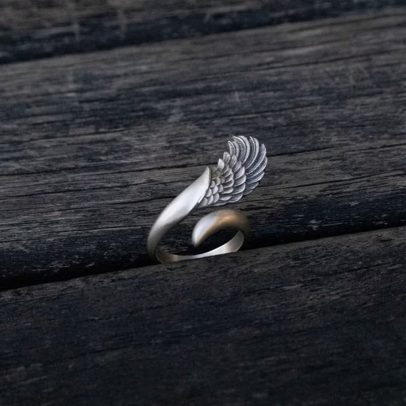 Twisted Wing / DR-51