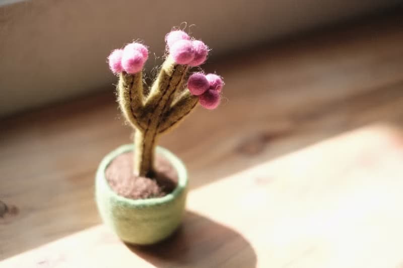 羊毛氈盆栽・多肉植物 仙人掌