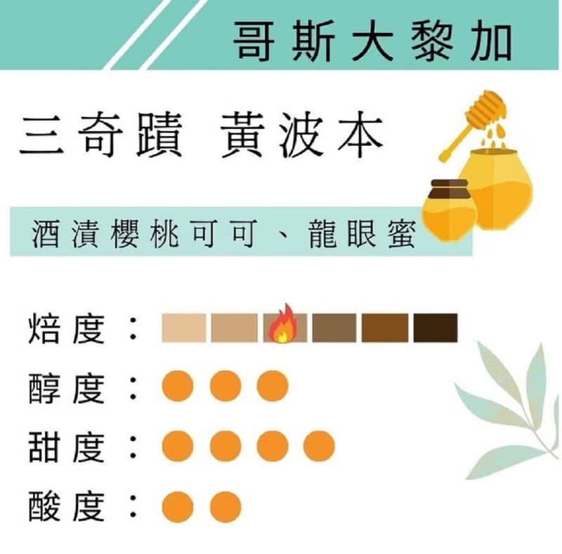咖啡豆 哥斯大黎加 三奇蹟莊園 黃波本 黑蜜 中焙 鑠咖啡