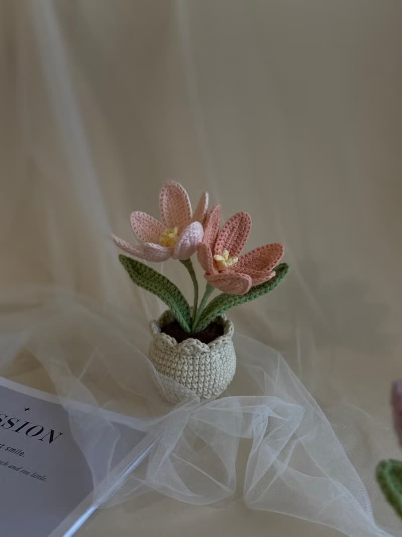 ZHII studio 手工盆花禮盒-鬱金香 針織花盆 送禮首選