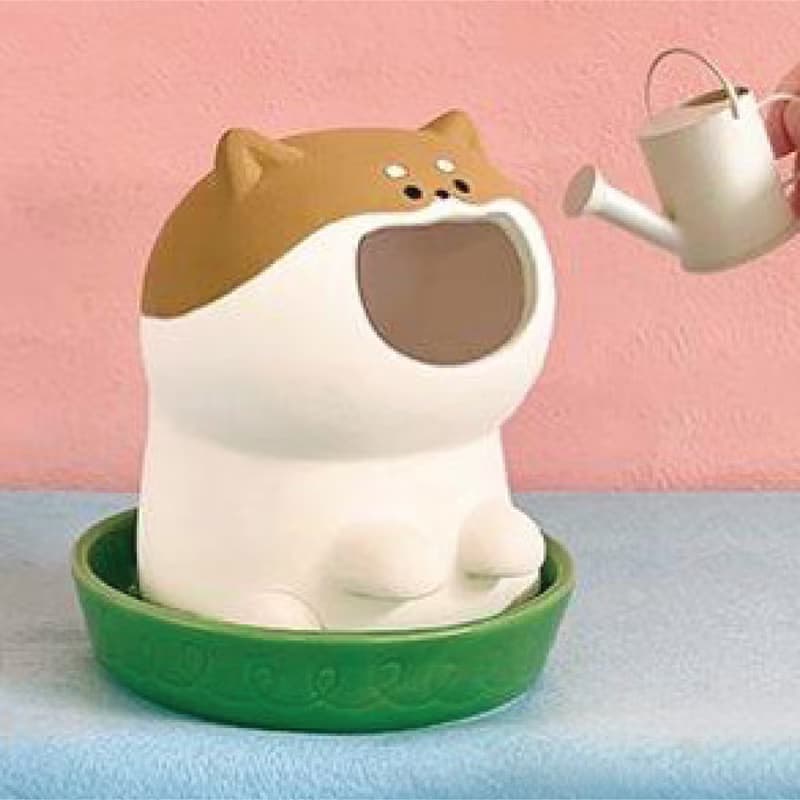 日本Decole 自然氣化加濕器 - 濕潤等待喝水的小柴犬