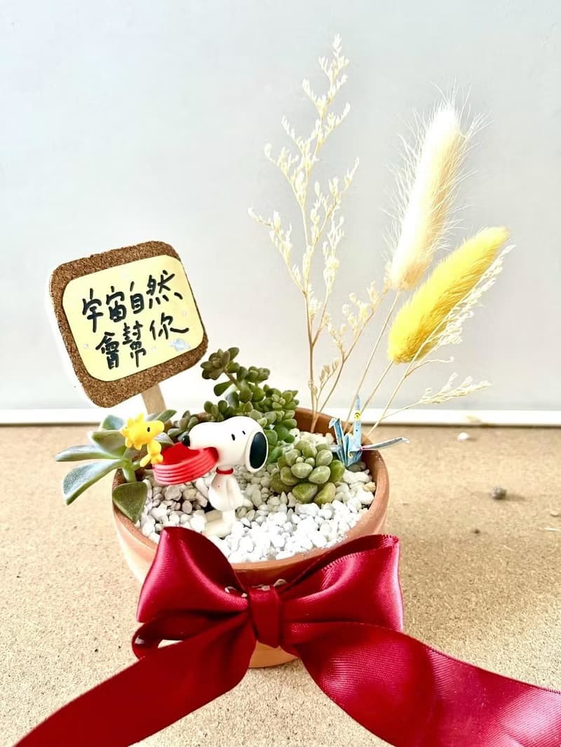 台中 多肉組盆 多肉植物 日式枯山水 微景觀 史奴比 SNOOPY 勵志