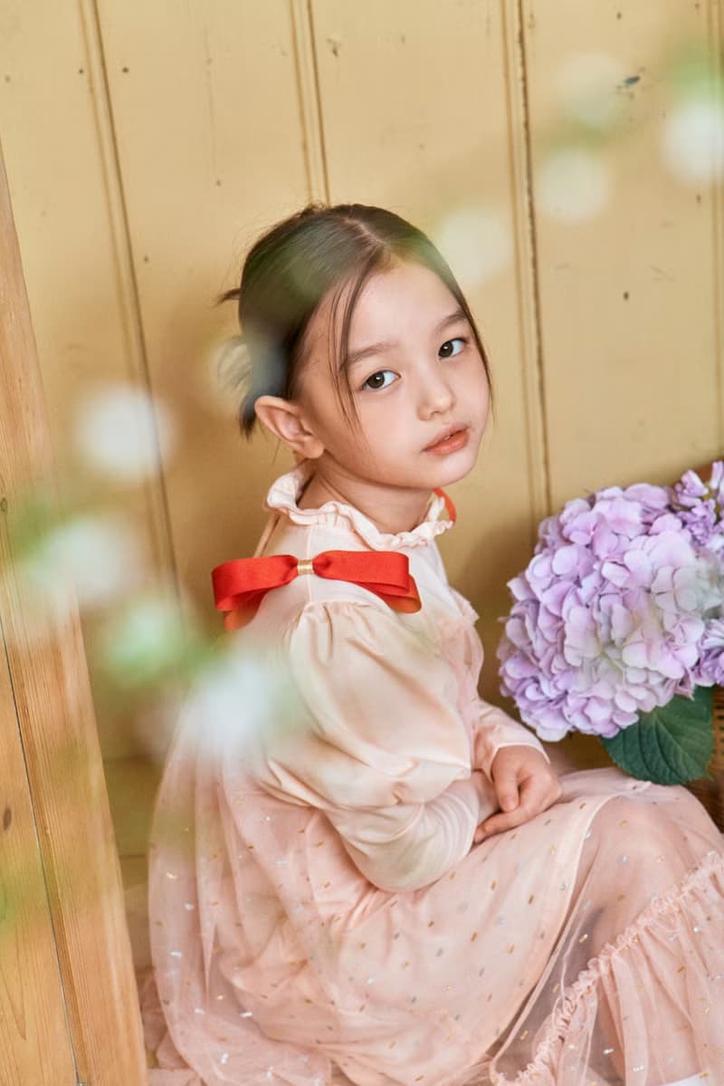 Girl ribbon tulle dress