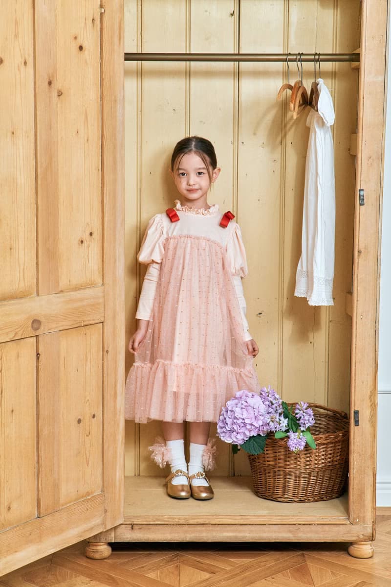 Girl ribbon tulle dress