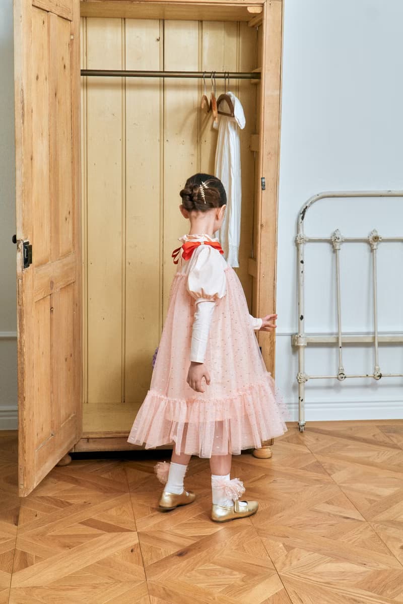 Girl ribbon tulle dress
