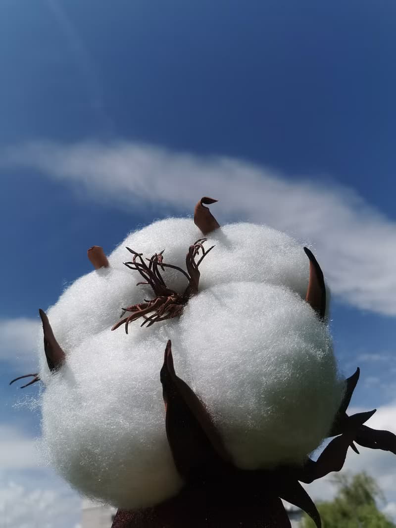 Cotton Flowers. Wedding Backdrop. Giant Bouquet. Large White Artificial Flowers