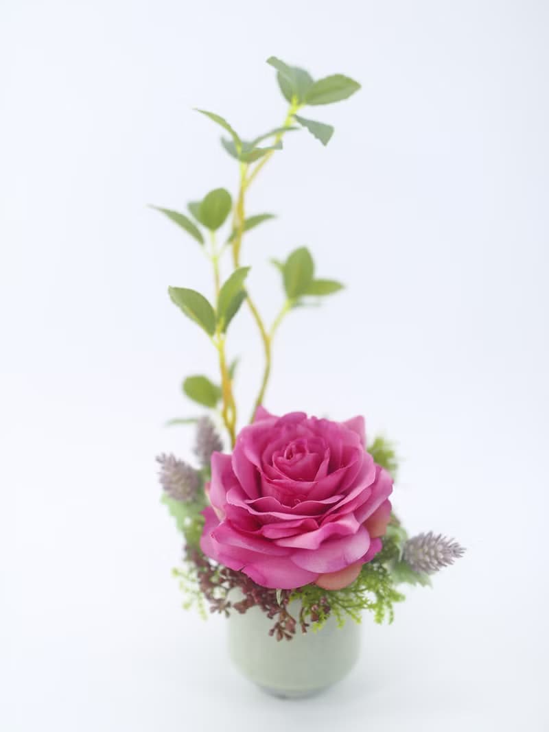 紫玫瑰榕樹枝日式陶盆香氛花禮/入厝禮/開幕/喬遷/送禮/植栽