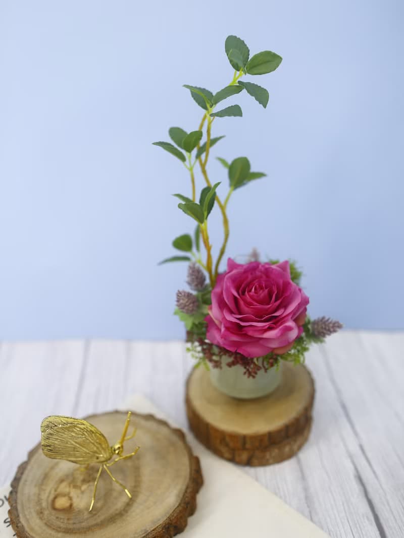 紫玫瑰榕樹枝日式陶盆香氛花禮/入厝禮/開幕/喬遷/送禮/植栽