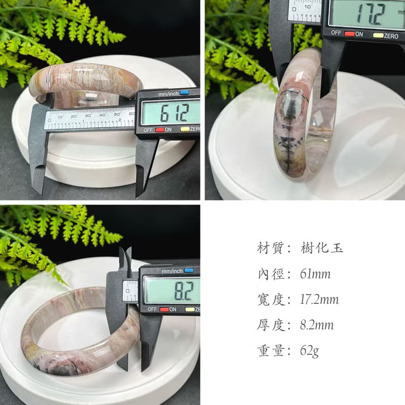 優質 緬甸樹化玉手鐲 61MM 冰潤高瓷結晶天眼千層年輪紋多彩 招財