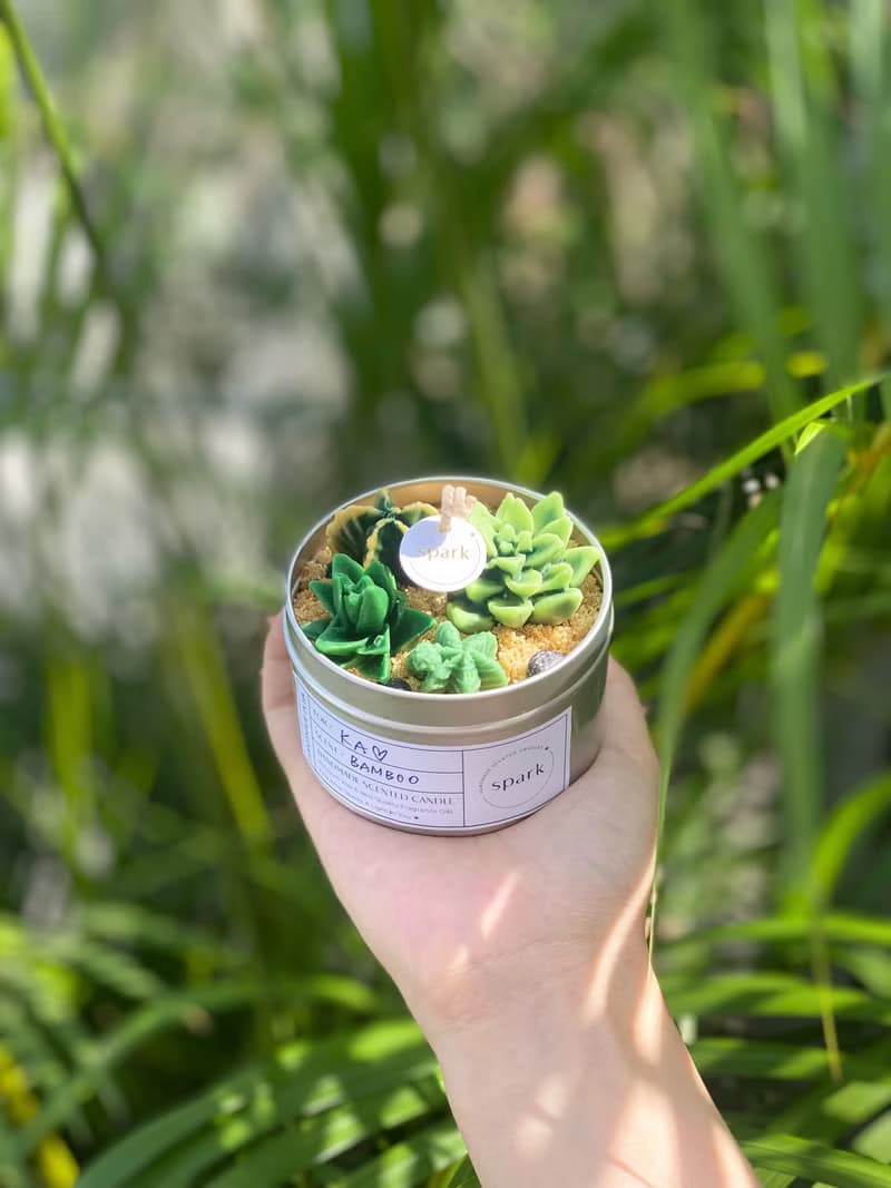 多肉植物蠟燭罐 | 仙人掌手工香氛蠟燭