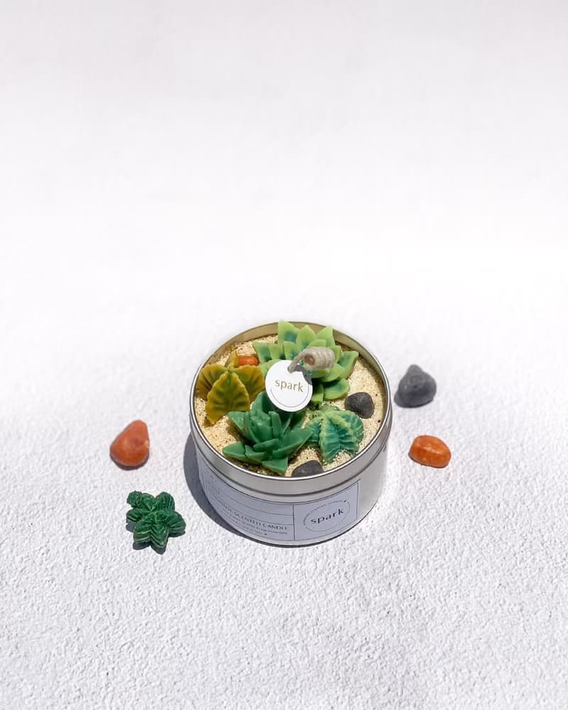 多肉植物蠟燭罐 | 仙人掌手工香氛蠟燭
