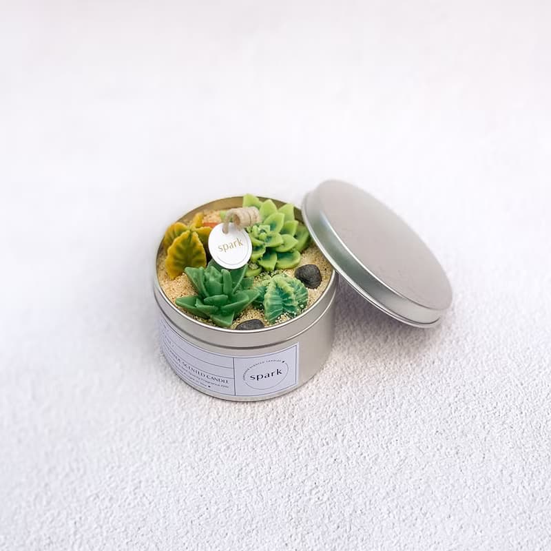 多肉植物蠟燭罐 | 仙人掌手工香氛蠟燭