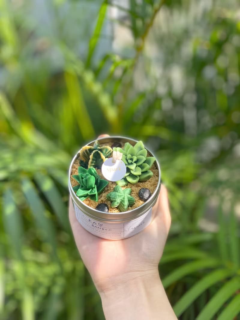 多肉植物蠟燭罐 | 仙人掌手工香氛蠟燭