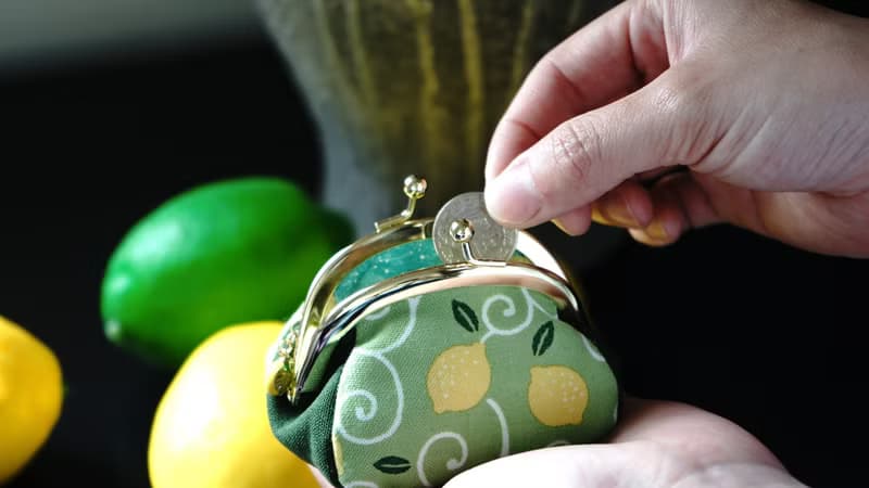 零錢包 FristLove青春新滋味立體 口金包 附檸檬吊飾