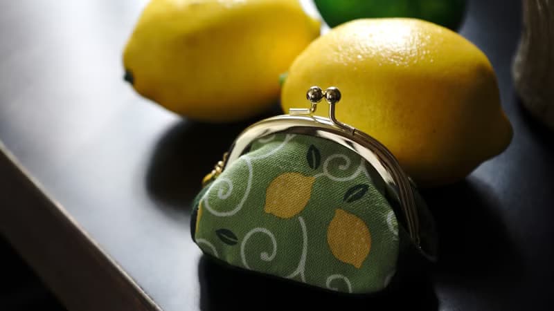 零錢包 FristLove青春新滋味立體 口金包 附檸檬吊飾