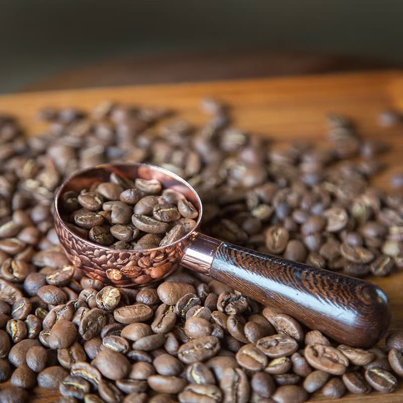 雞翅木半圓豆匙 咖啡匙 五色選擇