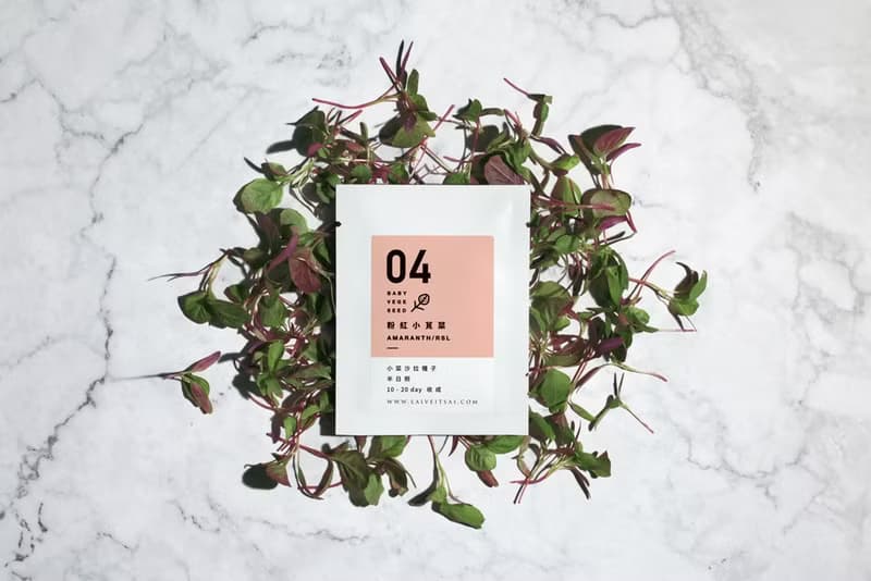 04粉紅小莧菜種子_入坑禮物盒