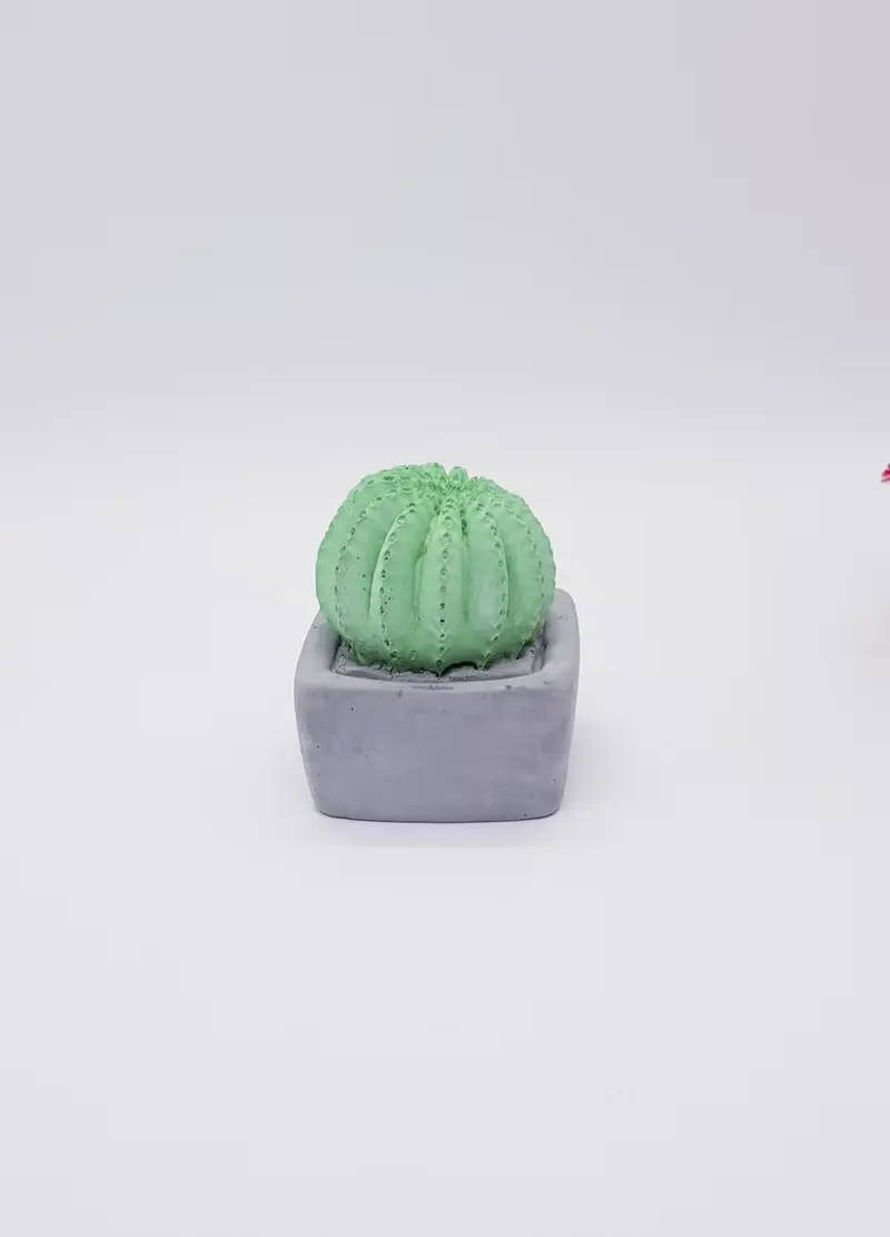手作療癒系-球狀仙人掌盆摘擴香石- 新年-生日-情人節禮物