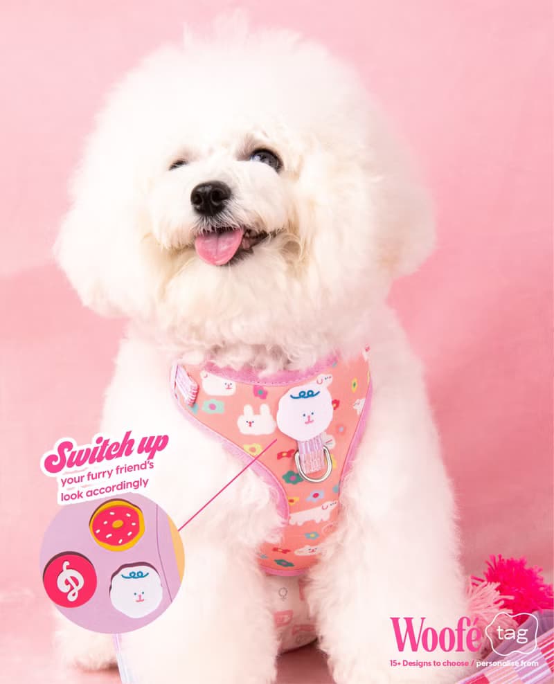 Woofé Tag for DOGGU HARNESS