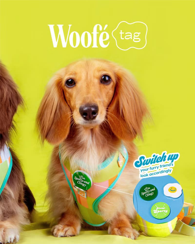Woofé Tag for DOGGU HARNESS