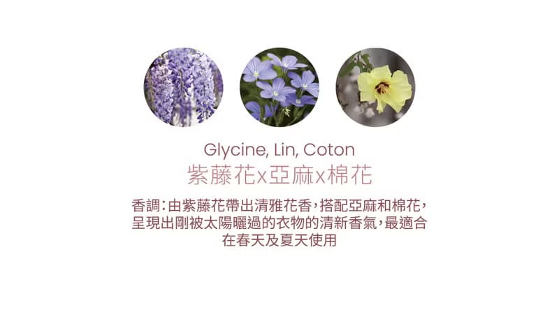 法國Cirerie de Gascogne天然香氛蠟燭 – 紫藤花x亞麻x棉花