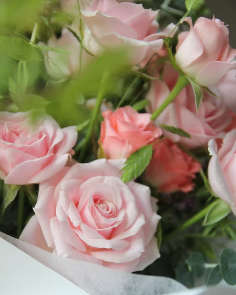 Petite Rose 粉紅玫瑰 鮮花花束 告白 情人節 生日花束